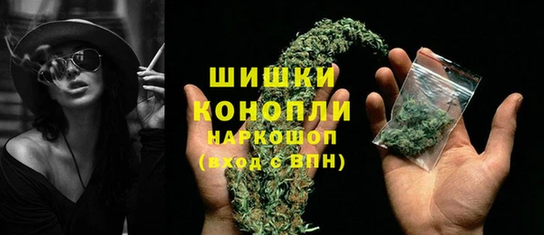 PSILOCYBIN Абаза