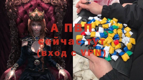 PSILOCYBIN Абаза