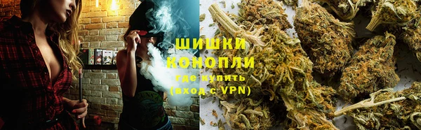 PSILOCYBIN Абаза